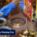 Hong Kong Gen Z revives herbal teas; experts on intimacy: 7 Lifestyle highlights